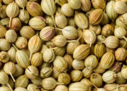 Coriander seeds