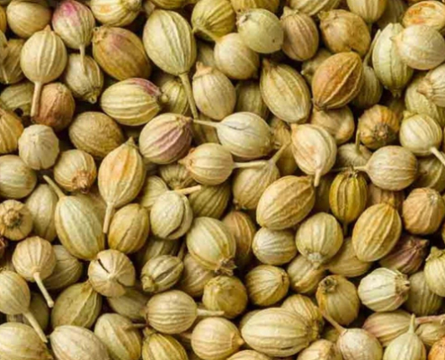Coriander seeds