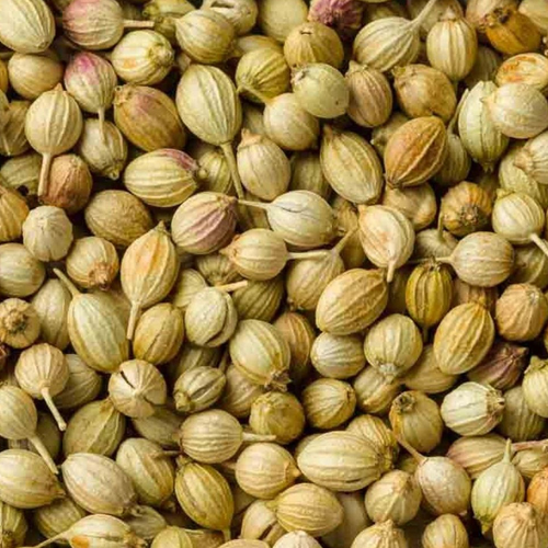 Coriander seeds