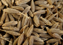 Cumin seeds