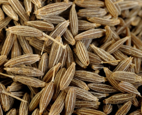 Cumin seeds